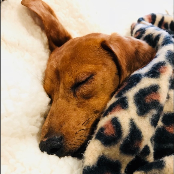 Meet your Posher, Tiny Tina - Picture 1 of 8